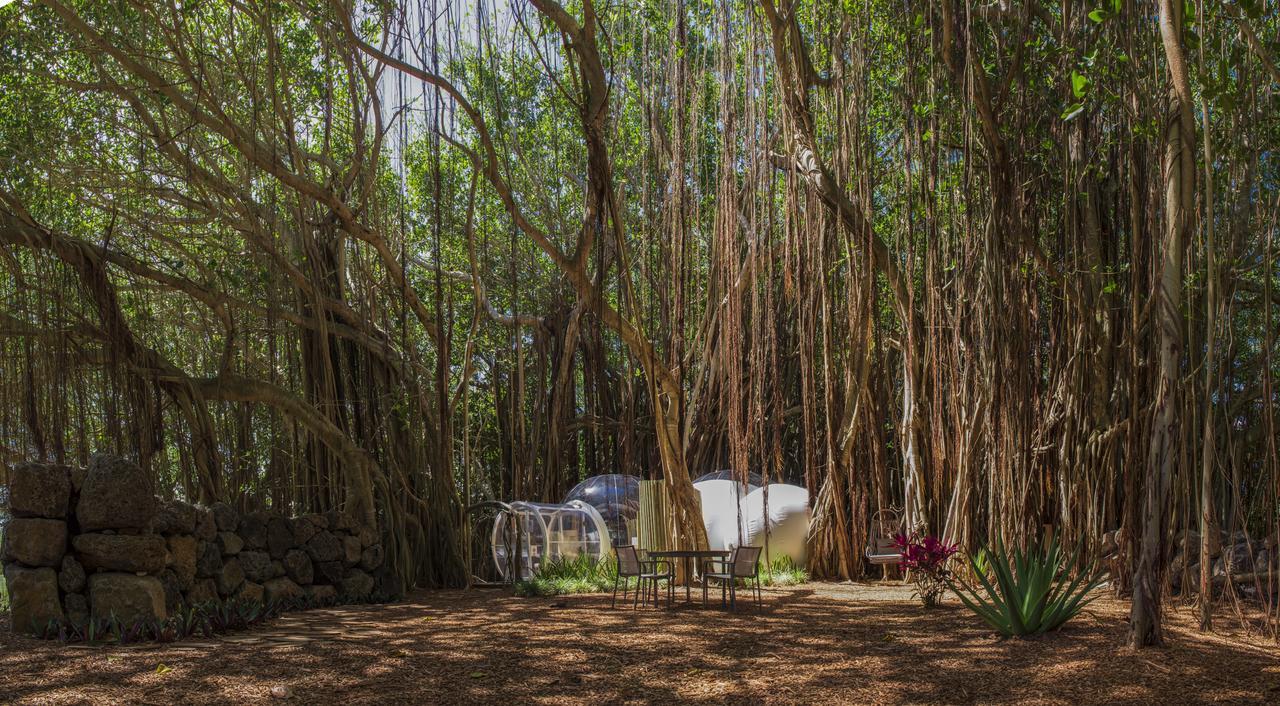 Bubble Lodge Ile Aux Cerfs Island Exteriér fotografie